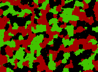 image Biofilm