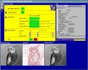 linux screenshot 01